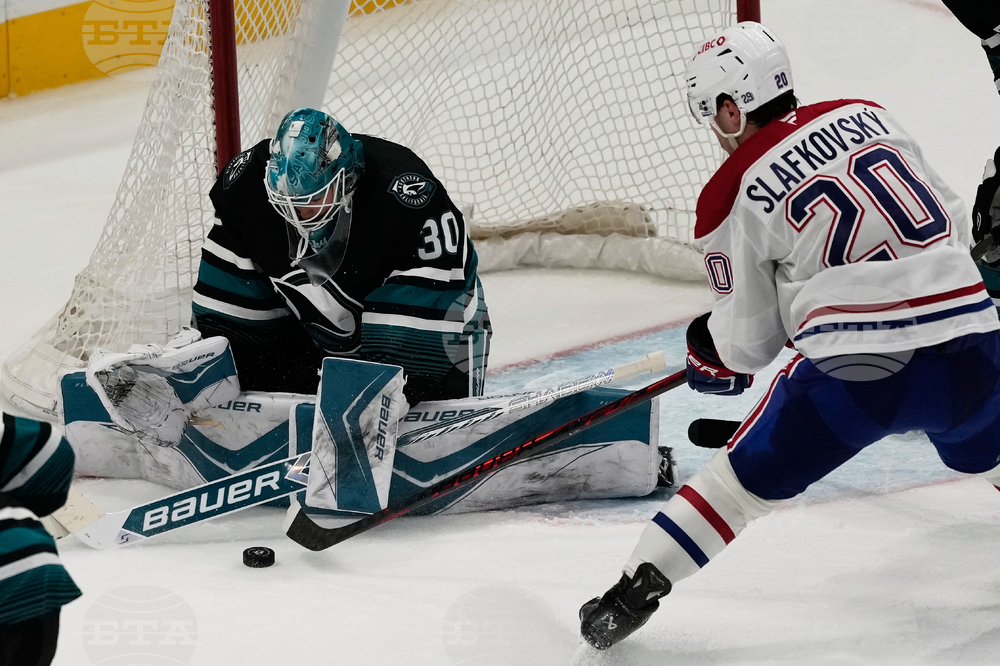 Canadiens Sharks Hockey