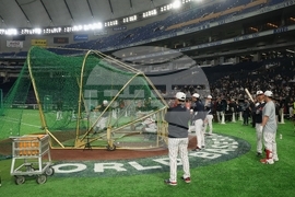 WBC Japan Baseball