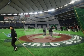 WBC Japan Baseball