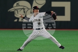 WBC Japan Baseball