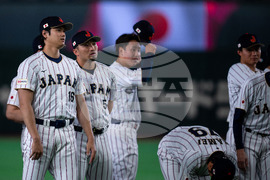 WBC Japan Baseball