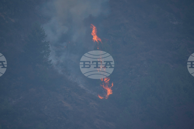 India Kashmir Forest Fire