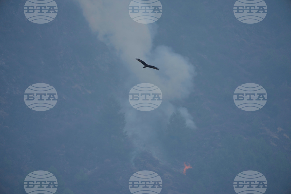 India Kashmir Forest Fire