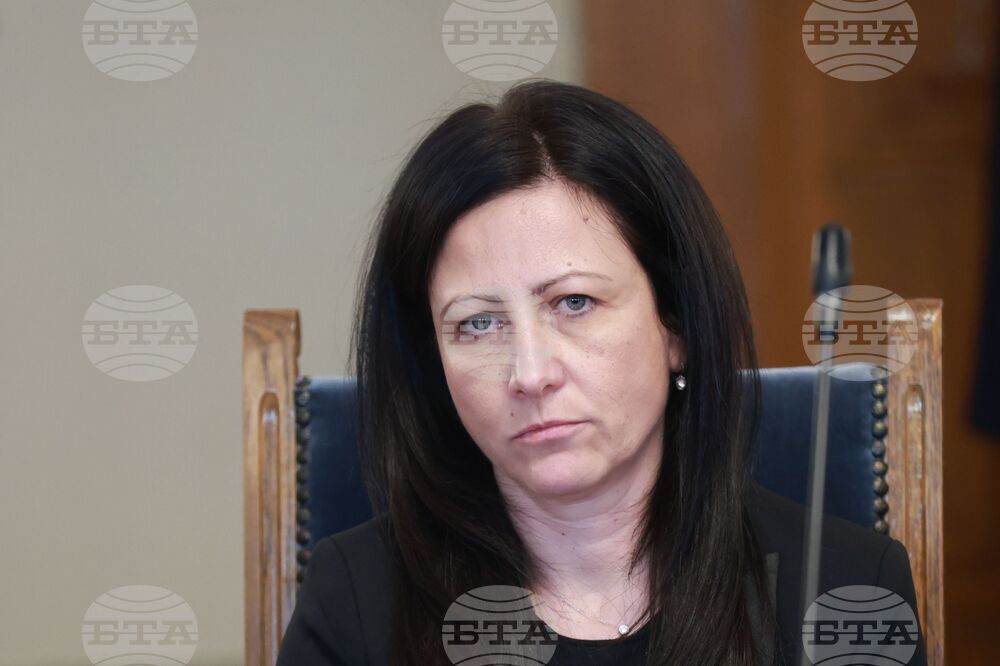 Vazrazhdane Candidate Rangelova: State Finances Should Support Key Sectors