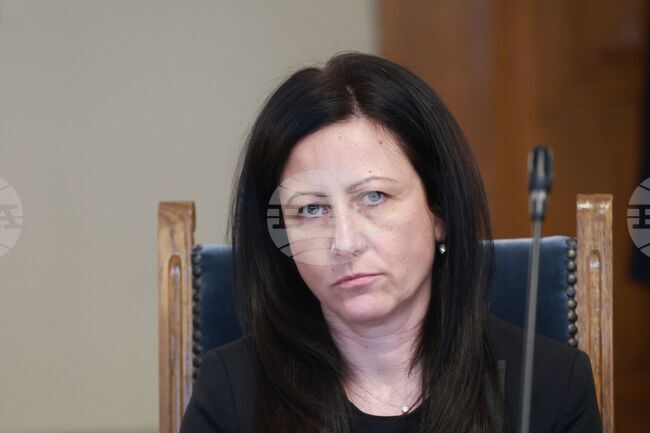 Vazrazhdane Candidate Rangelova: State Finances Should Support Key Sectors