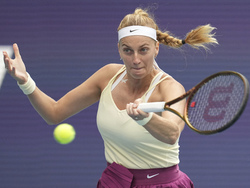 Miami Open Tennis