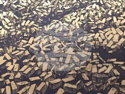 Изложба на Красимир Терзиев. Снимка: Галерия Sarieva