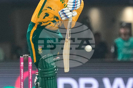 New Zealand South Africa T20 WCup Cricket