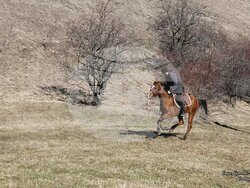 Снимка: Община Своге