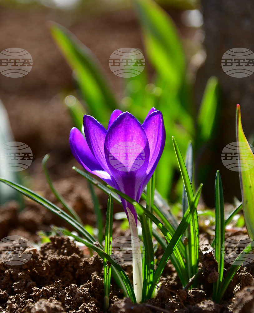 Прогноза за времето 