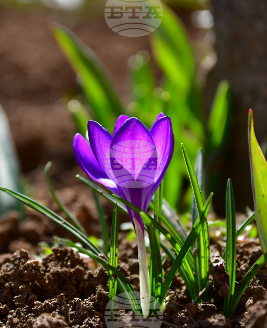 Прогноза за времето 