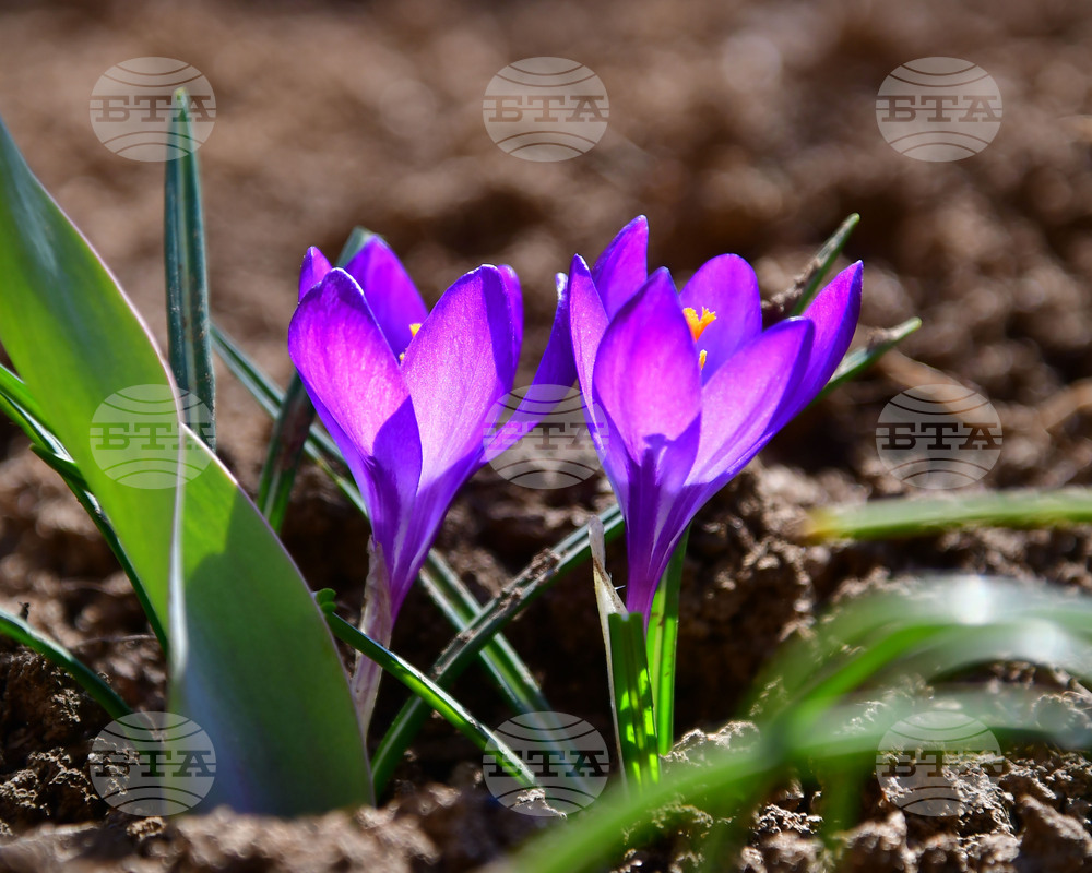 Астрономическата пролет настъпва днес в 16:46 часа