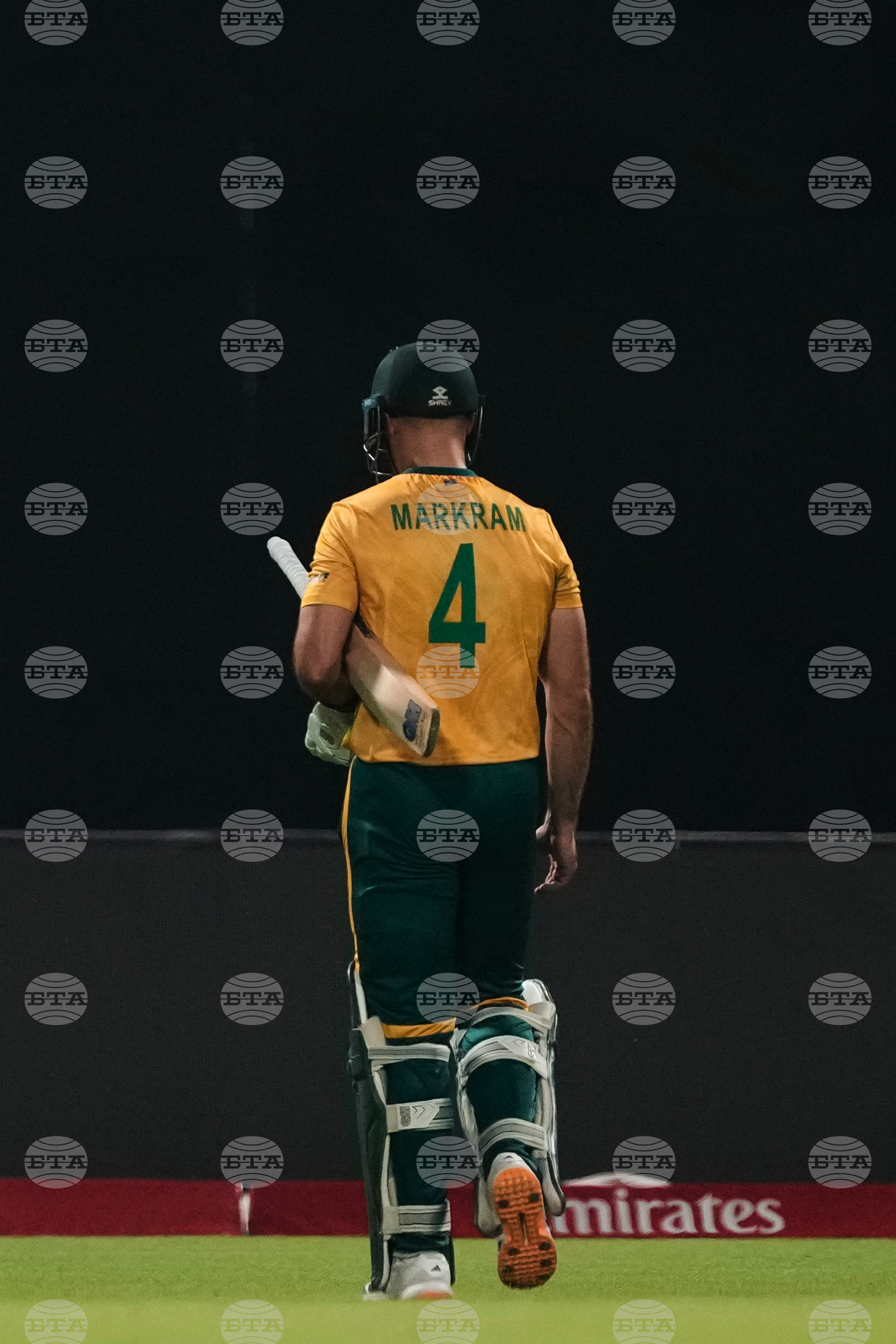 New Zealand South Africa T20 WCup Cricket