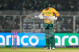 New Zealand South Africa T20 WCup Cricket