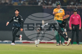 New Zealand South Africa T20 WCup Cricket