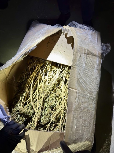 Софийска градска прокуратура: Общо четирима обвиняеми са с мярка за неотклонение задържане под стража за държане с цел разпространение на близо 1 кг кокаин и над 260 кг коноп 