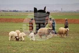 Syria Iran US Israel