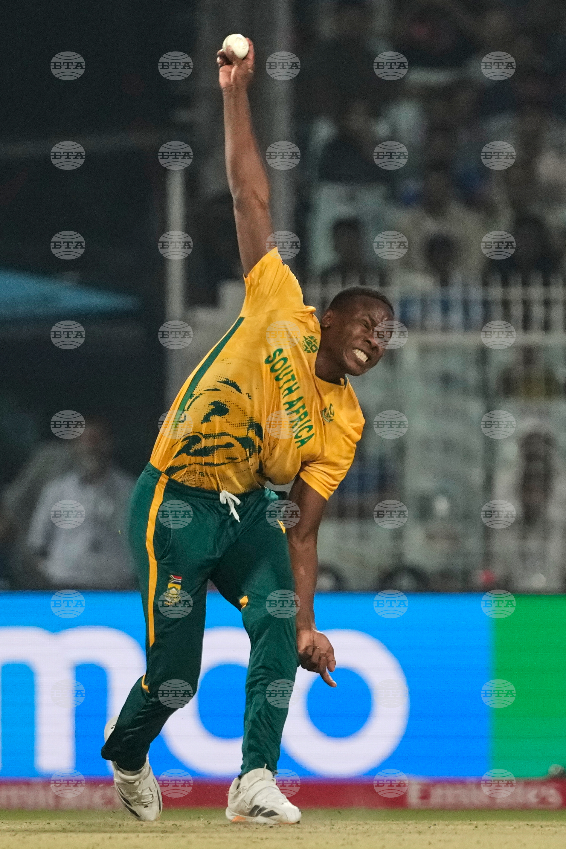 New Zealand South Africa T20 WCup Cricket