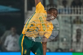 New Zealand South Africa T20 WCup Cricket