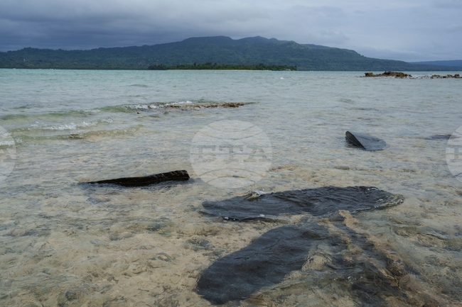 Морското равнище около световните брегове реално е по-високо от изчисленията, показва проучване на учени от Нидерландия