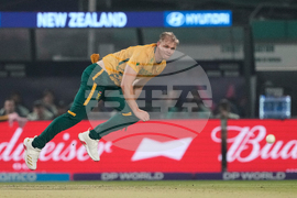 New Zealand South Africa T20 WCup Cricket