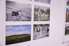 Бургас - Национална художествена академия - изложба - фотография