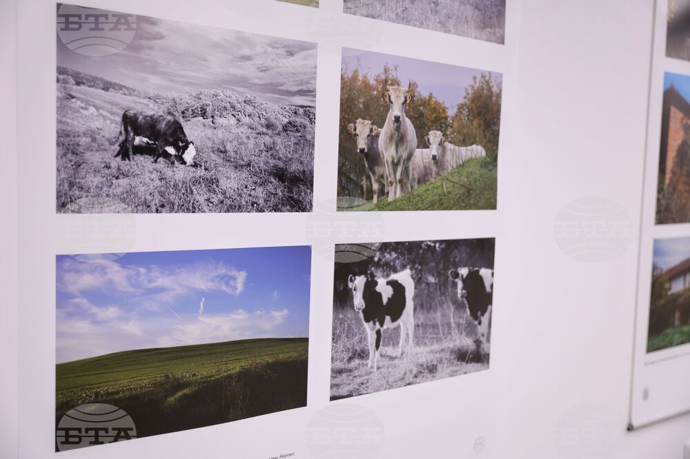 Бургас - Национална художествена академия - изложба - фотография