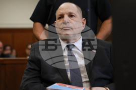 Sexual Misconduct Weinstein