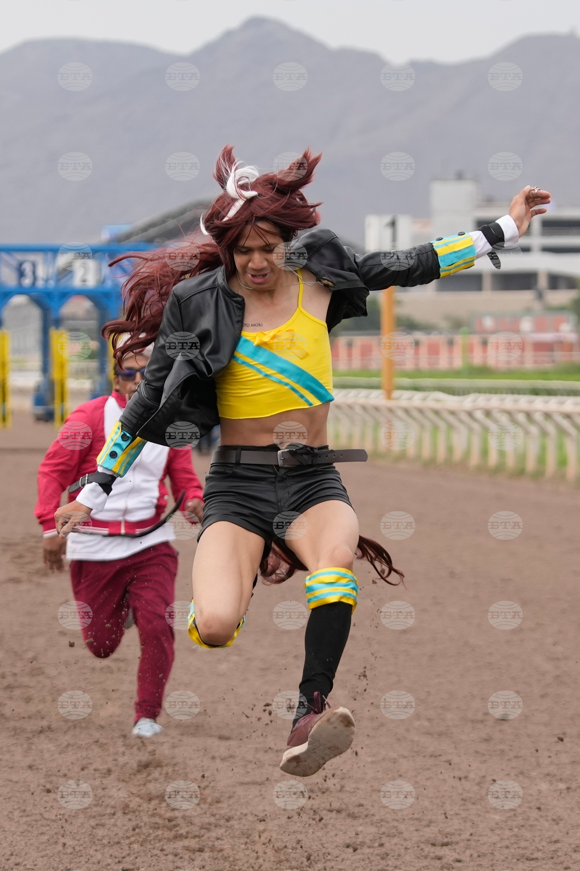 Top Vertical Photos Photo Gallery