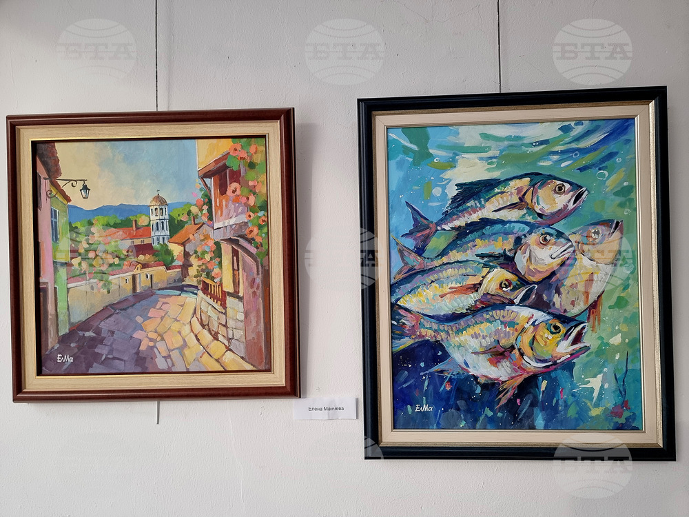 Монтана - международен празник на жената 8 март - изложба