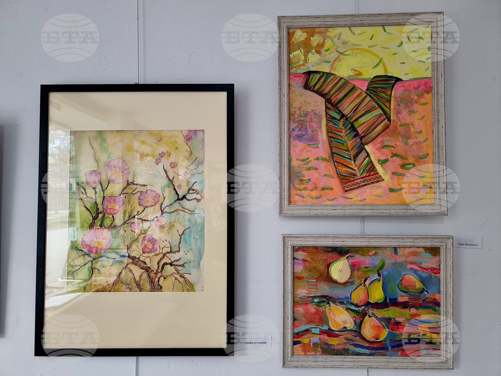 Монтана - международен празник на жената 8 март - изложба