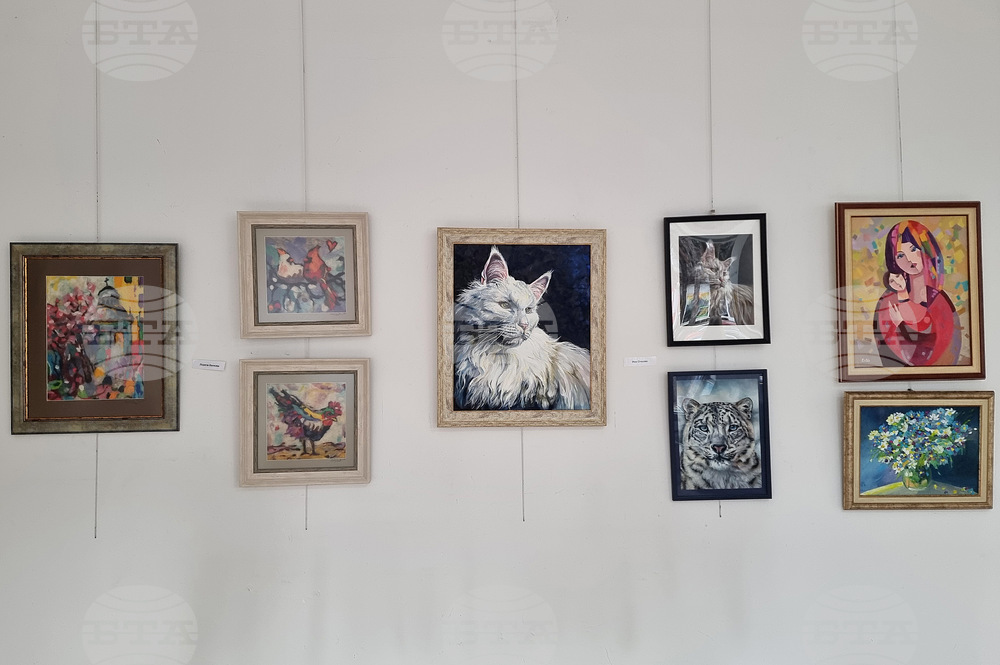 Монтана - международен празник на жената 8 март - изложба