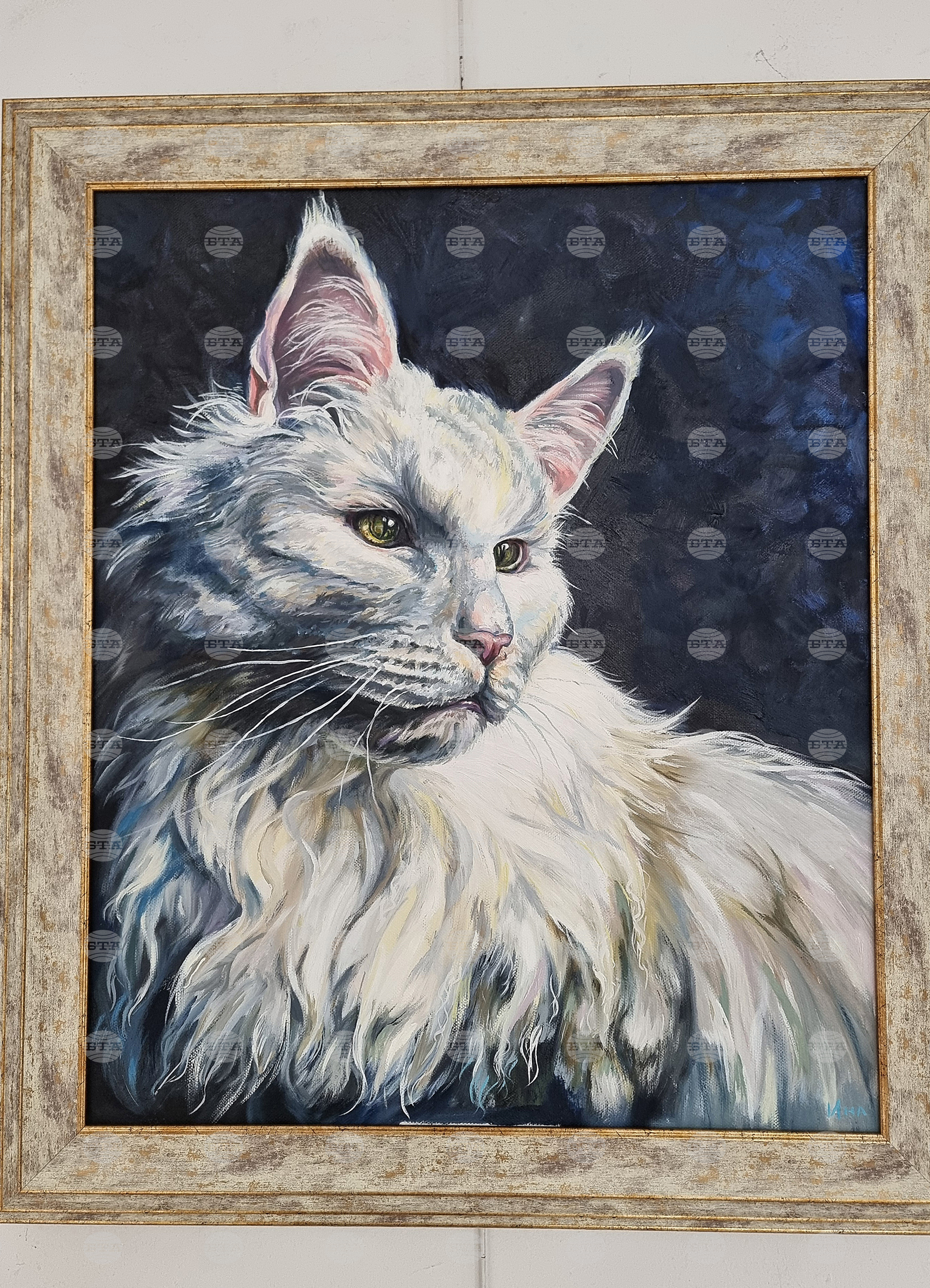 Монтана - международен празник на жената 8 март - изложба