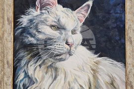 Монтана - международен празник на жената 8 март - изложба