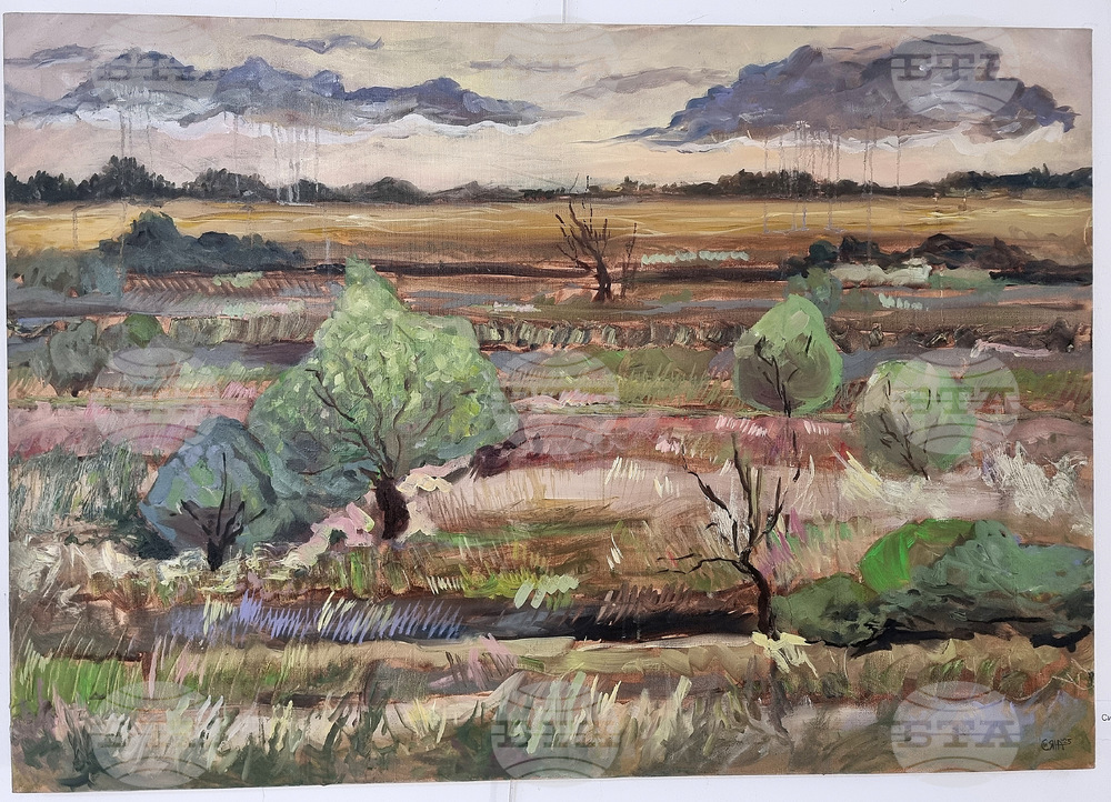 Монтана - международен празник на жената 8 март - изложба