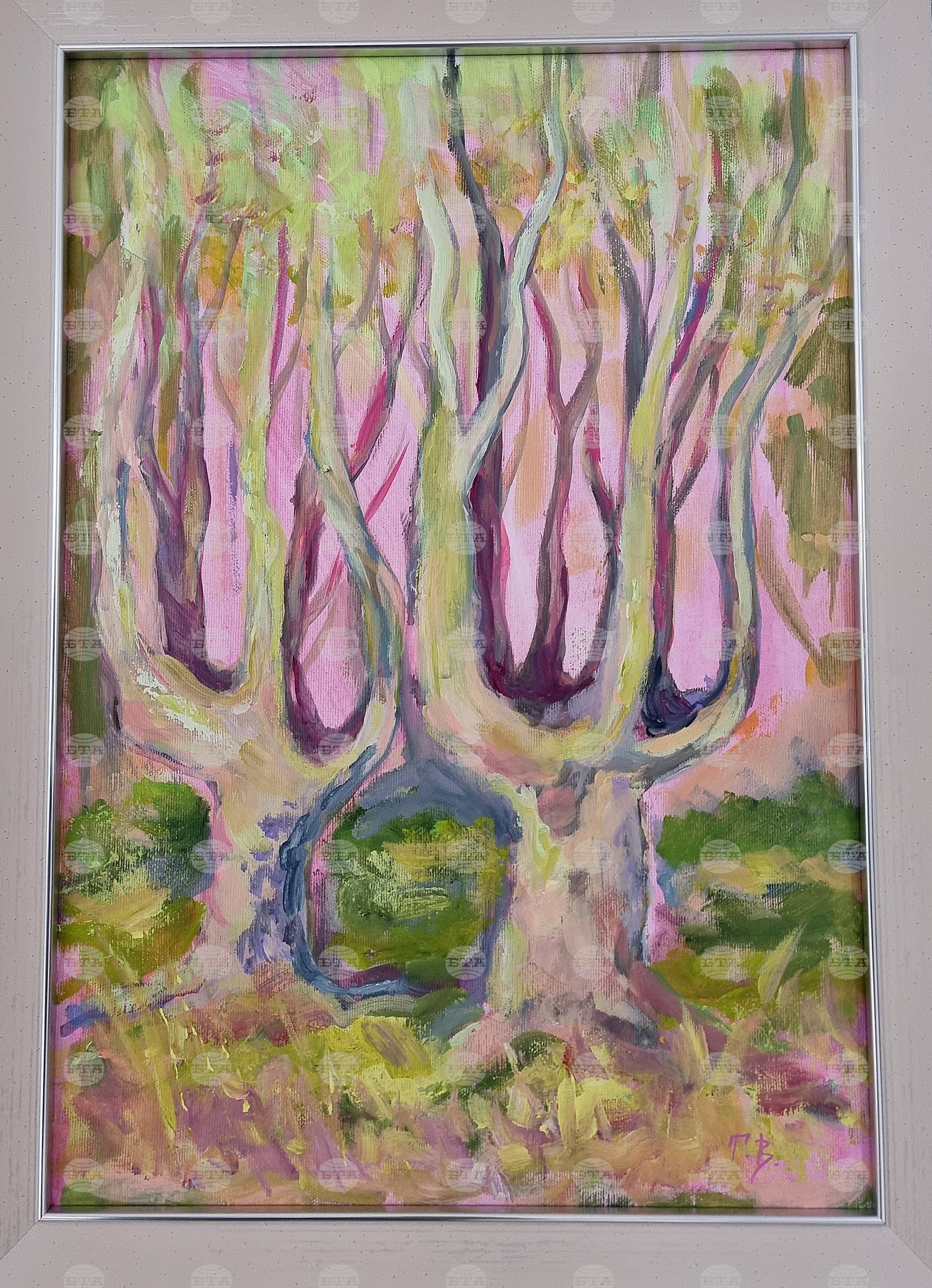 Монтана - международен празник на жената 8 март - изложба