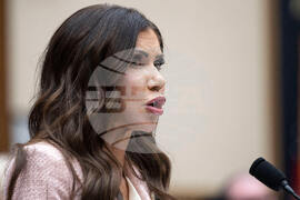 House Homeland Security