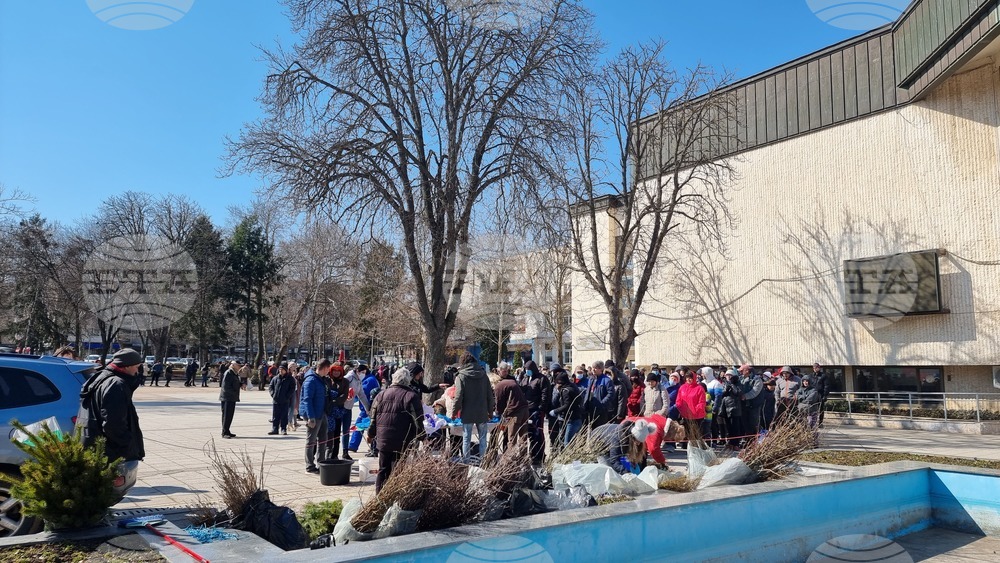 Различни видове дръвчета ще подари на разградчани Гората.бг