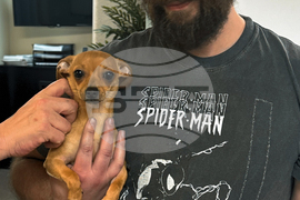 Google AI Death Lawsuit