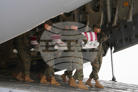 Casualty Return Marine