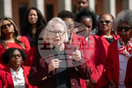 DeSoto County Redistricting Trial