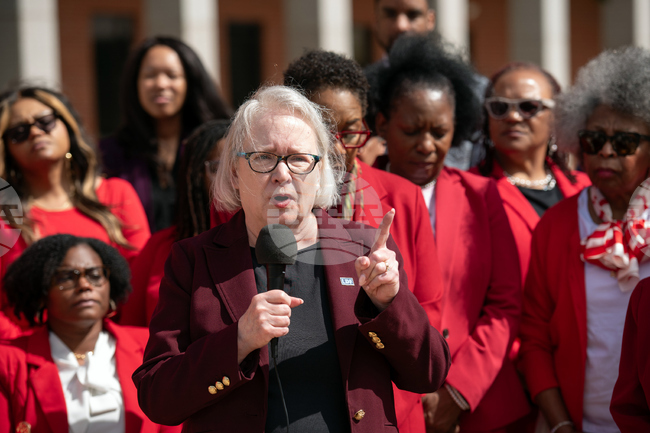 DeSoto County Redistricting Trial