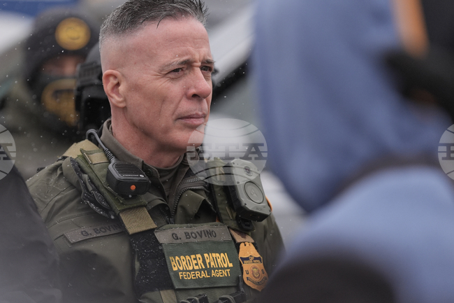 Homeland Security Bovino Investigation