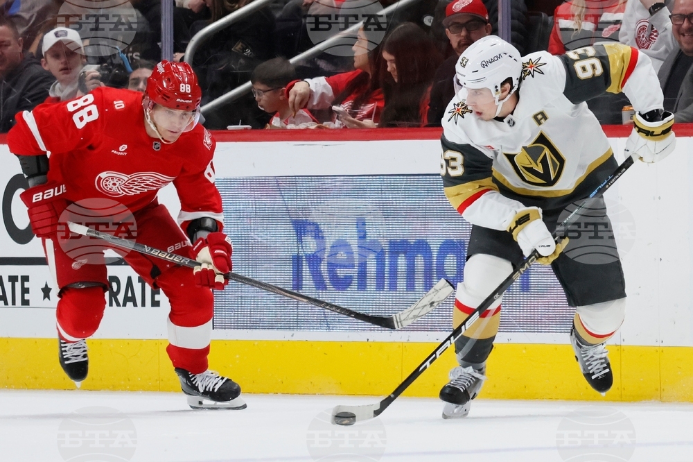 Golden Knights Red Wings Hockey