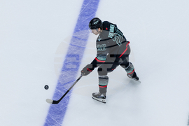 Blues Kraken Hockey