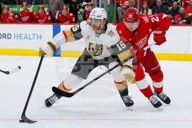 Golden Knights Red Wings Hockey