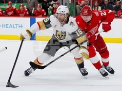 Golden Knights Red Wings Hockey