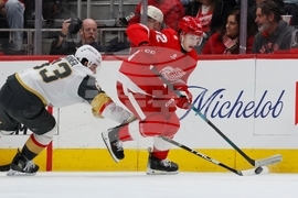 Golden Knights Red Wings Hockey