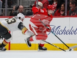 Golden Knights Red Wings Hockey