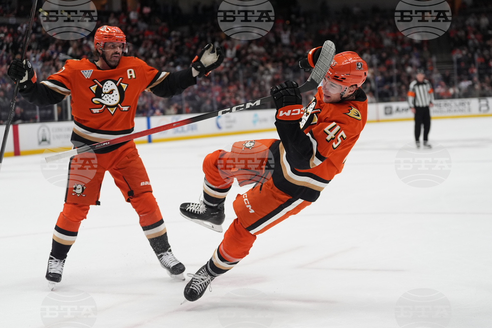 Islanders Ducks Hockey